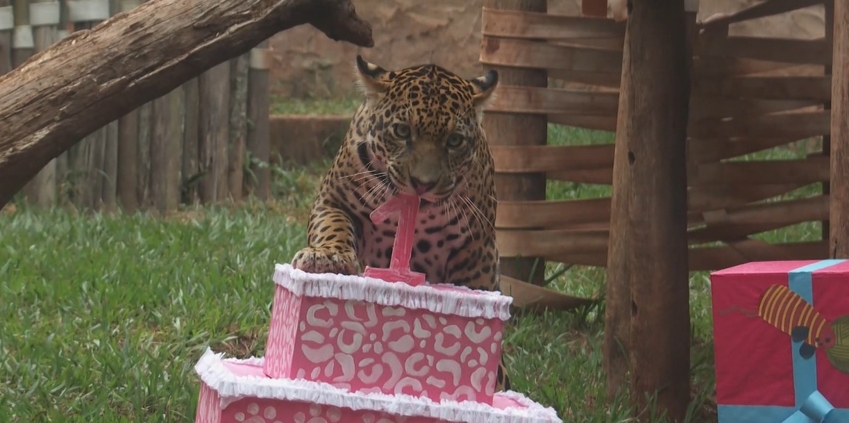 foto Not&iacute;cia Monte Alto